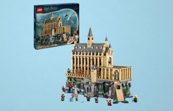 Cdiscount will make people happy for the end of the year with this LEGO Harry Potter at a bargain price