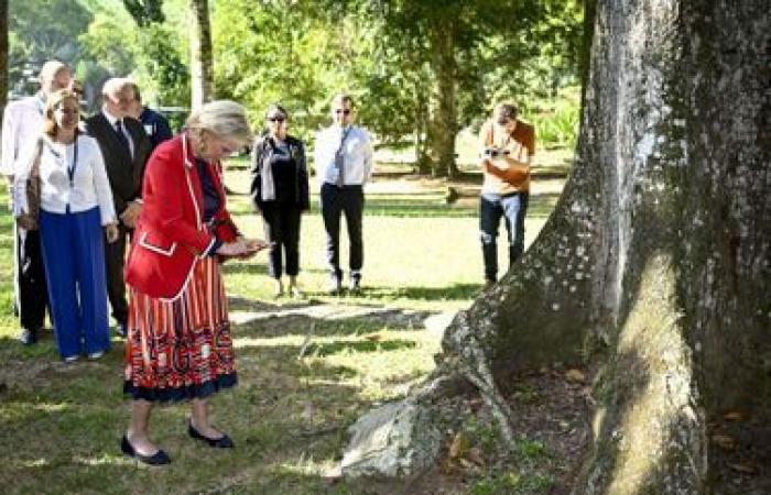 look back at the princess’s mission to Brazil in 5 selected moments