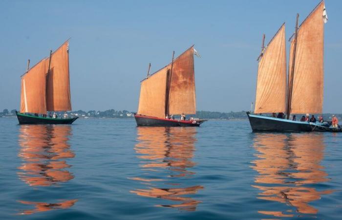 Friends of Sinagot: discovering the Gulf of Morbihan in Sinagot