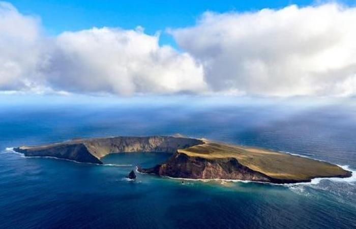 From South Gironde to Saint-Paul Island in the Indian Ocean, a successful bet for the Lambert brothers