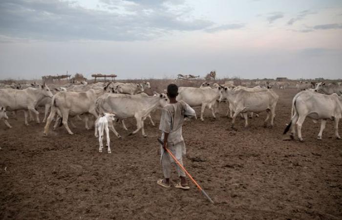 how do fertile lands turn into desert?