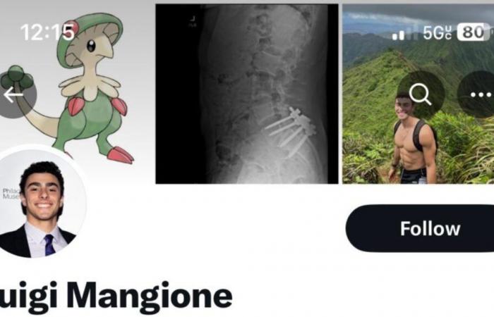 Murder of Brian Thompson: Luigi Mangione’s favorite Pokémon is snapped up on sales sites