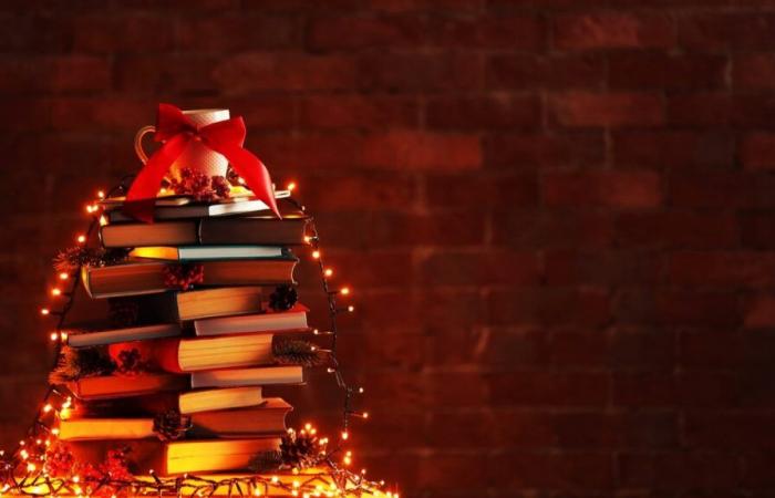 A giant distribution of free books is taking place this Saturday in Bordeaux for Christmas!