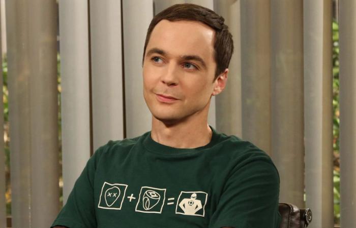 do these 5 characters come from Friends or The Big Bang Theory?