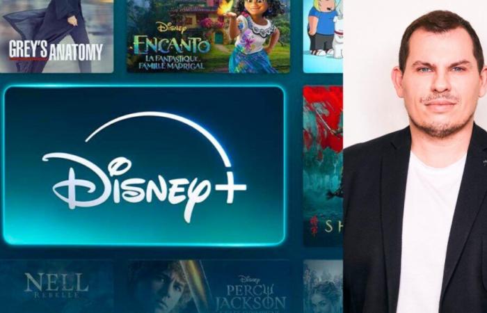 Disney+: “To continue to improve, we must increase prices”