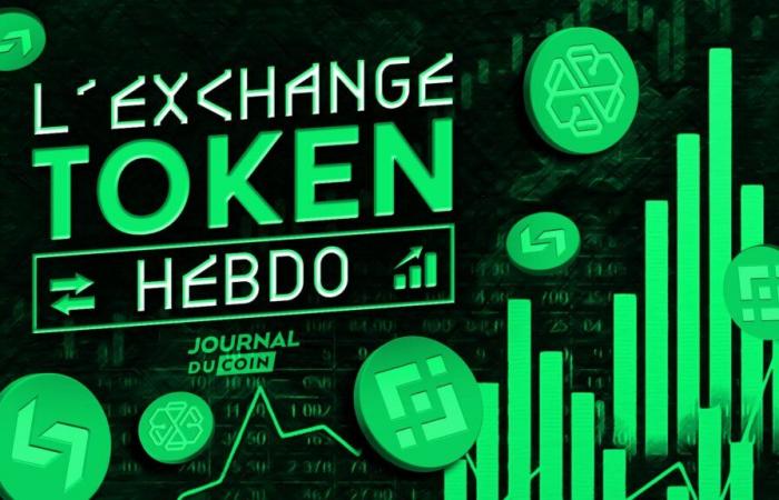 Last correction before the explosion of Binance BNB and token exchanges? Crypto Analysis