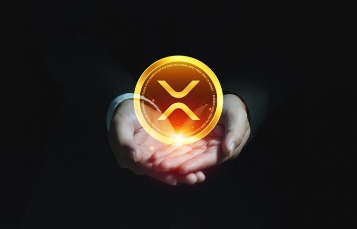 Just like Tesla: XRP price could crash 50%, but rise to $45 in 2027