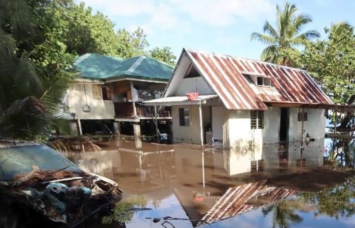 Floods: a family from Papeari attacks the country for not having secured the banks