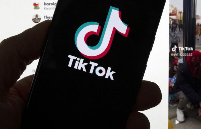 TikTok contests Ottawa’s order to cease operations in Canada