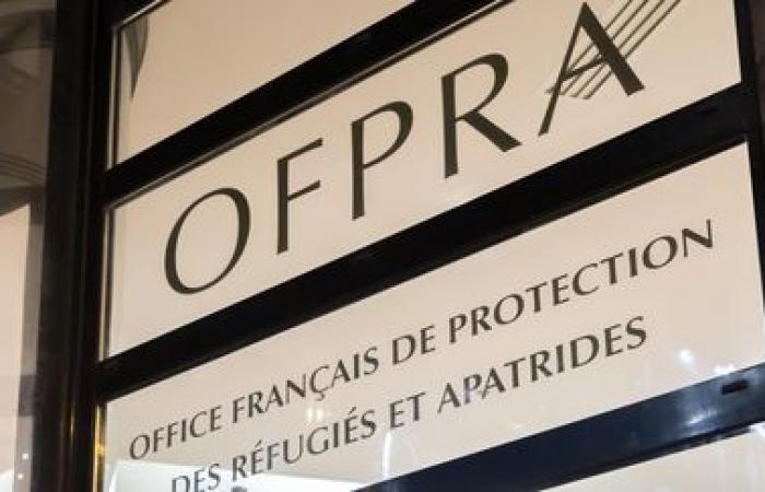 Ofpra will “defer” the examination of 700 asylum applications from Syrian nationals “completely independently” so as “not to make hasty decisions”