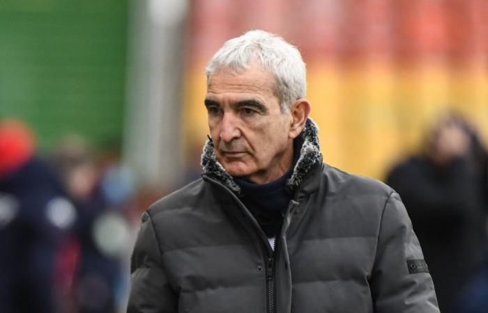 Raymond Domenech destroys the Greens!