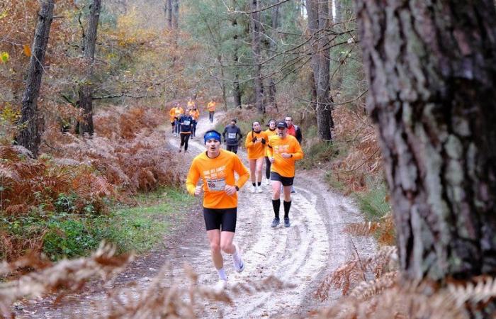 More than 700 participants in the Trail des Sables de Cauderoue