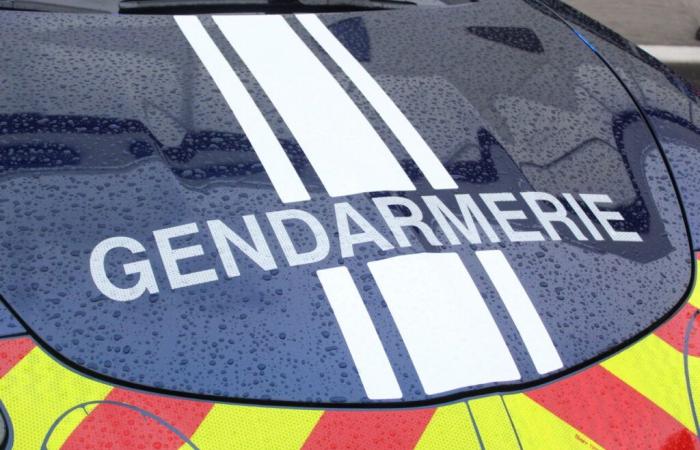 worrying disappearance of a sixty-year-old near Andernay, the gendarmerie launches a call for witnesses