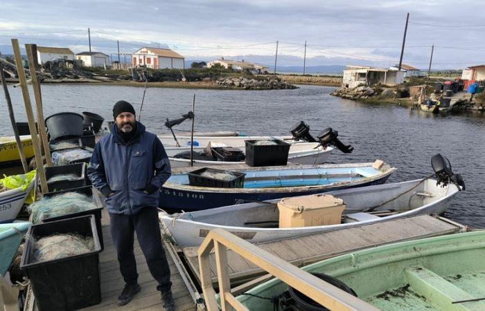 Operation “dead ports” in Aude and Occitanie: why fishermen are expressing their anger