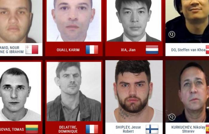 “These individuals have blood on their hands”: who are the two French people present on the trombinoscope of fugitives wanted by Europol?