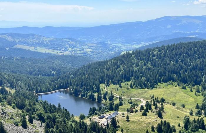 a free pass to discover the Vosges at reduced prices