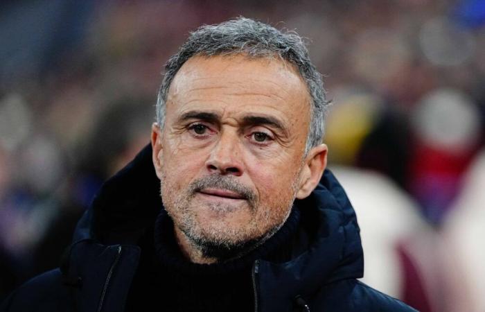 PSG: “We know the risks if we don’t win,” warns Luis Enrique