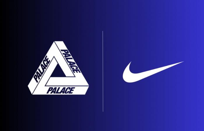 Palace Nike Air Max DN8 Releasing In 2025