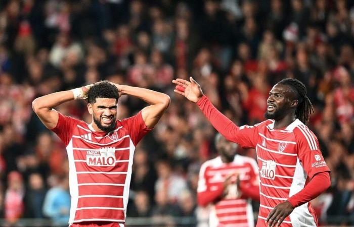 Brest – PSV Eindhoven: “Certainly the most complicated match”, diminished, Stade Brestois still hopes to rise