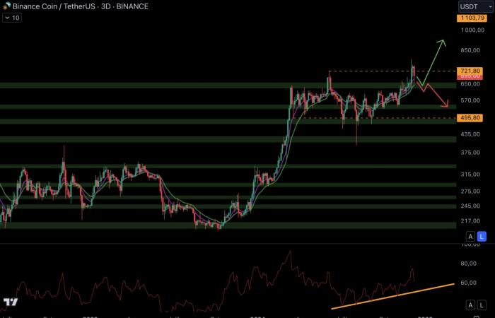 Last correction before the explosion of Binance BNB and token exchanges? Crypto Analysis