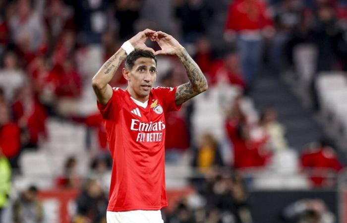 Di María could go down in Champions League history with the Benfica shirt