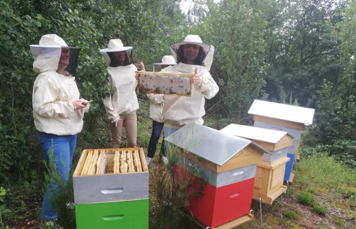 Beekeeper Juan Gonzalez takes care of the hives at Bordeaux airport