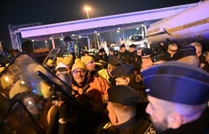 REPLAY. Anger among farmers: blocked motorway tolls, removal of meat from the shelves of a hypermarket… the tone is rising in Toulouse