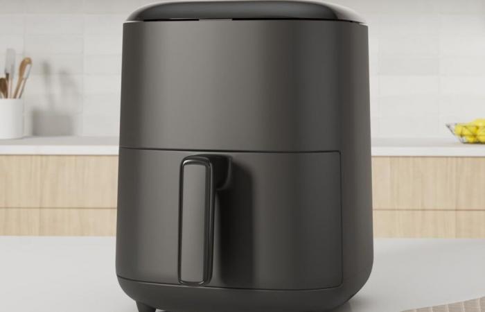 Yes, the Moulinex Easy Fry Max hot air fryer is an ideal gift on sale before Christmas