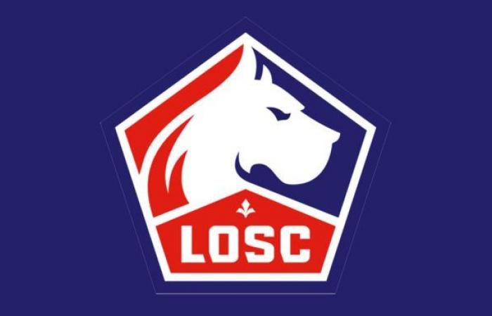 Soccer. LOSC is told in a children's book – SportBusiness.Club