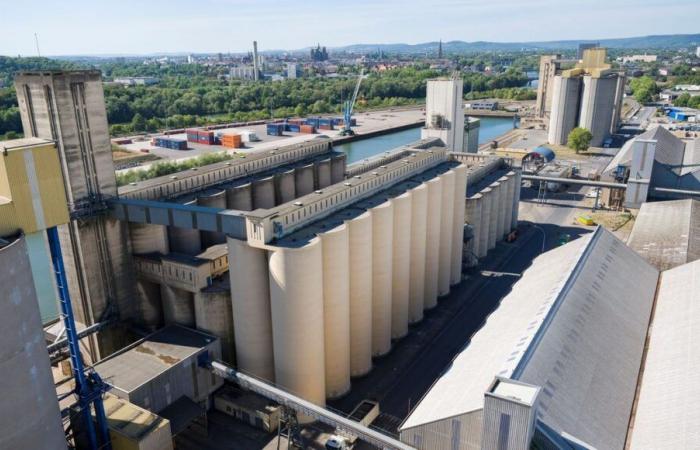 Stoppage of river traffic on the Moselle: “It’s never seen before”, the port of Metz expects a “50 to 80%” drop in activity