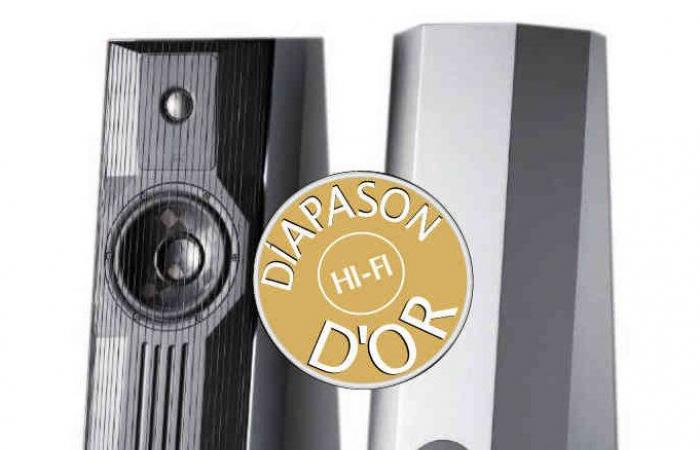 Diapason d’or 2023: GRYPHON EOS 2 speakers