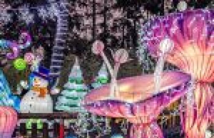 Christmas 2024: Christmas village, free rides and Santa's house in Saint-Ouen-sur-Seine (93)