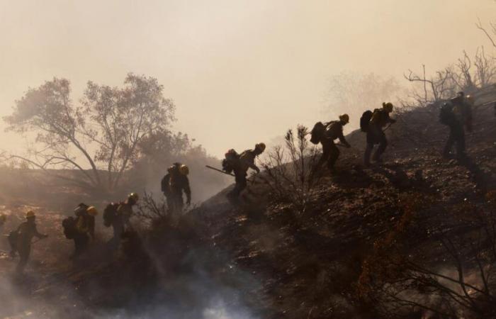 Dick Van Dyke, Cher, Mira Sorvino… The stars leave Malibu after the fire that ravages the city