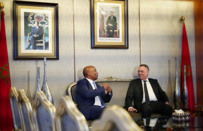 Motsepe: Grateful to the king and proud of Kokkaa