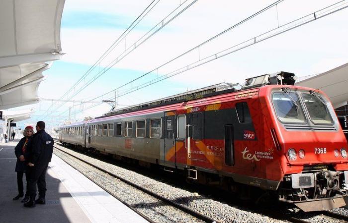 Public services strike in the Pyrénées-Orientales: disruptions expected in train traffic, distribution of parcels and mail also impacted