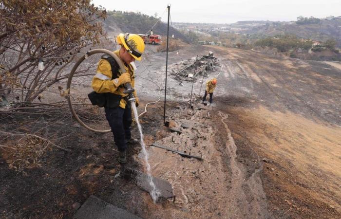 already 1,600 hectares destroyed in Malibu, the flames fanned by the wind