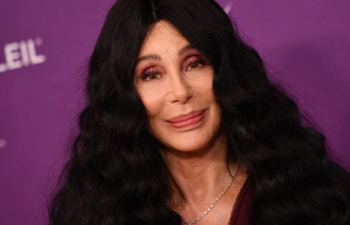 Cher and ‘Mary Poppins’ star Dick Van Dyke forced to evacuate