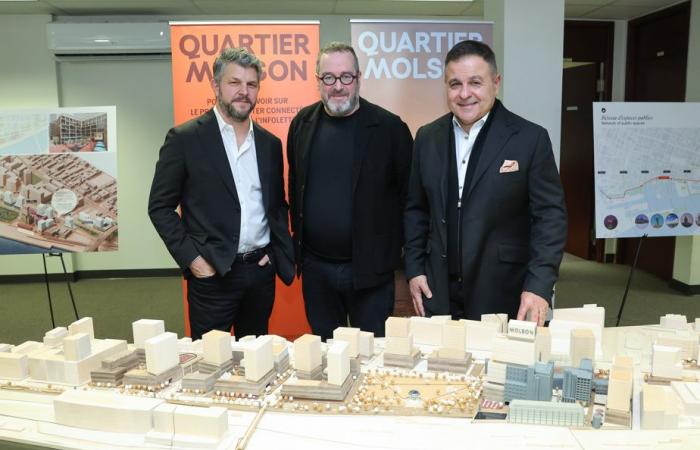 Former Molson Brewery | A new neighborhood within the next ten years