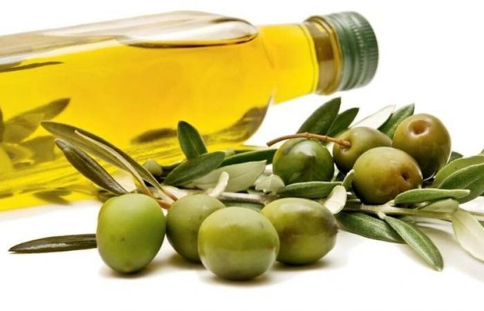 Olive oil: the prices contained thanks to imports