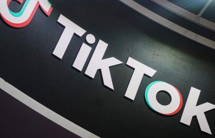 TikTok Canada challenges Ottawa order to cease operations