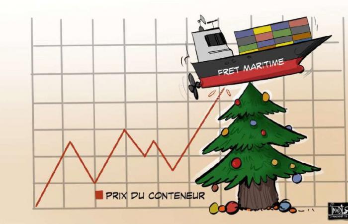 Increase in sea freight prices: the impact on the consumer limited