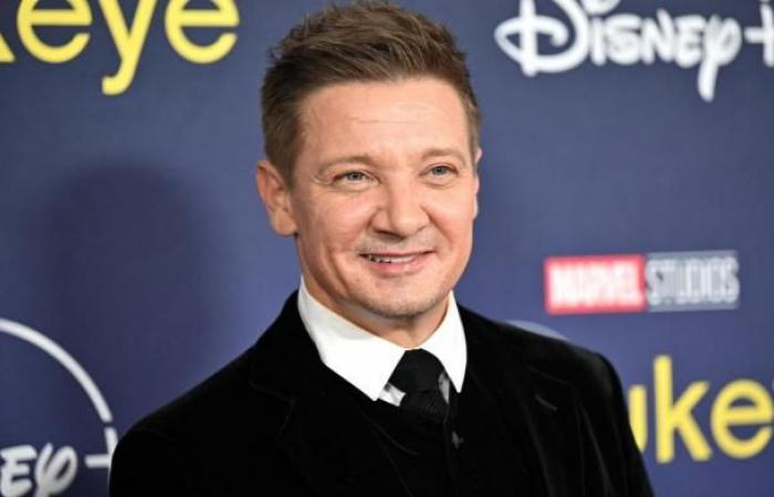 Jeremy Renner (Hawkeye) admits this surprising thing about the Avengers films