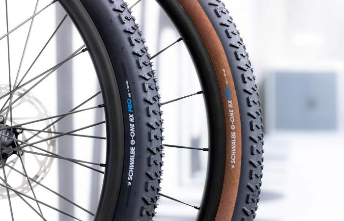 Schwalbe G-One RX Pro: a gravel tire for riding fast in winter ⋆ Vojo