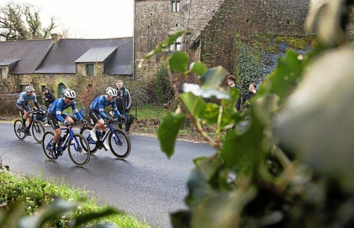 Decline in licensees, teams disappearing, rising costs… Why amateur cycling is in crisis