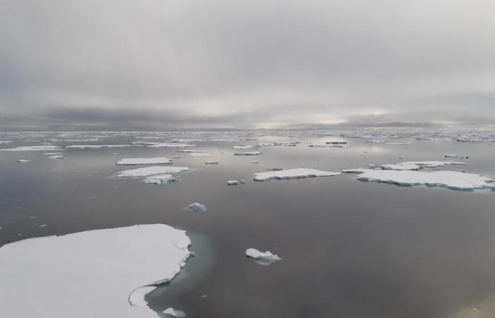 Research to develop sensors dedicated to navigation and mapping of ice areas