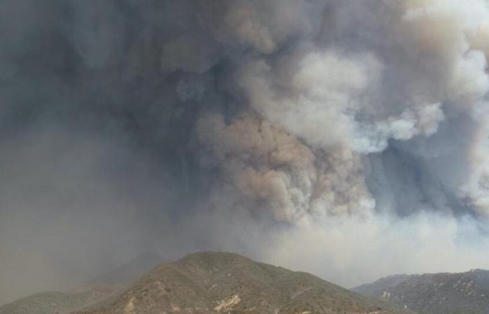 Fires in California: the “Franklin Fire” burned more than 1,200 ha