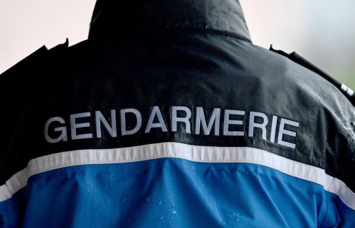 five people in pre-trial detention for multiple burglaries in the Ardennes