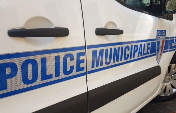 Cluses: several arrests after the voluntary fire of a municipal police car