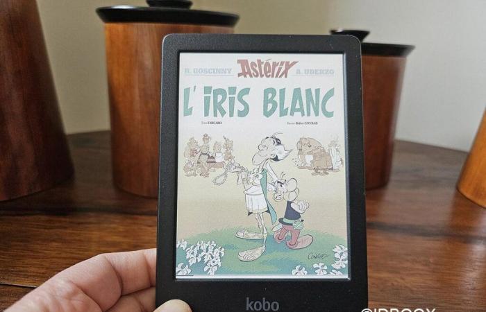 This Kobo color e-reader is at a low price for the holidays, good deal