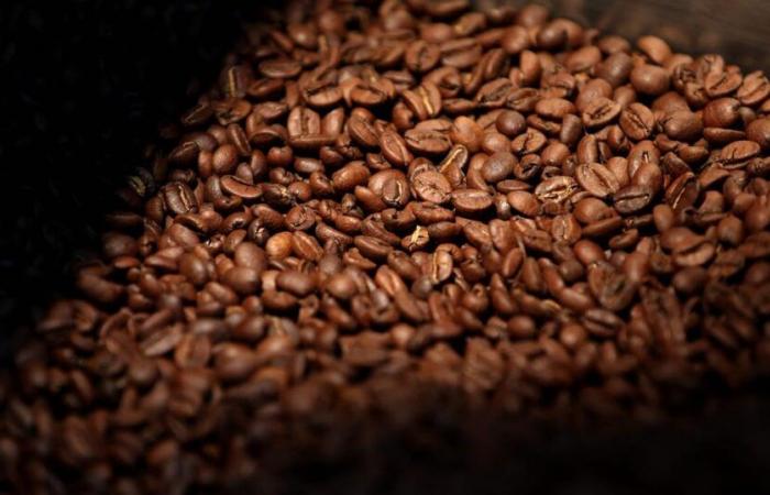 Morning coffee may cost you more, thanks to soaring Arabica prices